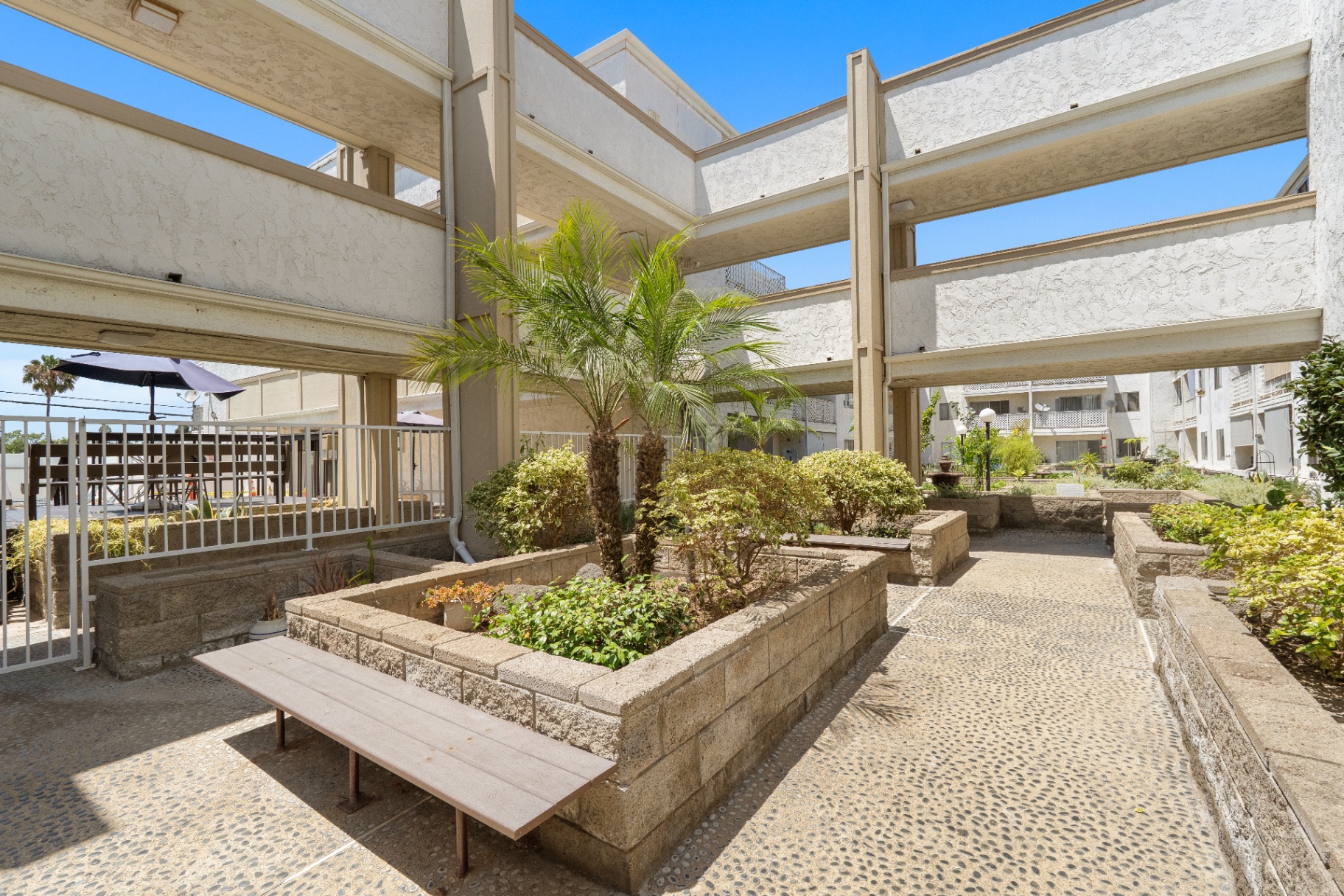 Shaded courtyard walkway with palms and bench seating