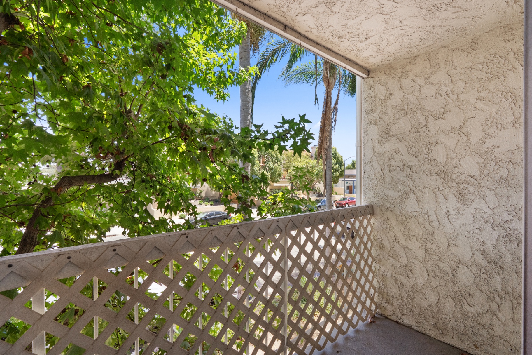 Private balcony framed by mature trees with tree-lined street beyond